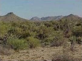 4th image of 34989 N 99th Way