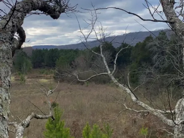 474 S Old Six Mile Rd, Somerville, AL 35670