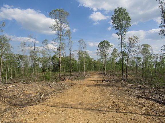3rd image of 1 Old Nashville Hwy