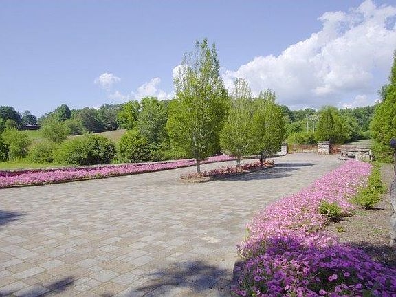 5th image of 25 Porter Creek Dr