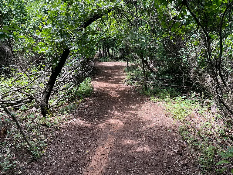 private walking trails (8)