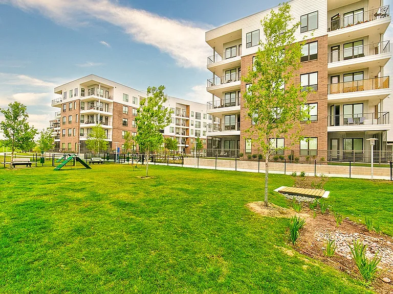 North Building Dog Park