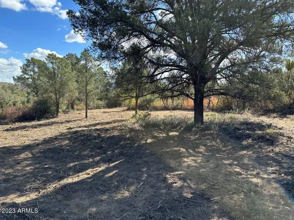 17XXX S Pinon Lane #M1, Peeples Valley, AZ 86332