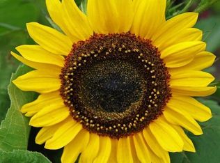 9260 Rosehill Rd #1, Lenexa, KS 66215