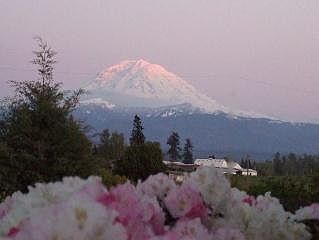 2nd image of 42129 202nd Pl SE