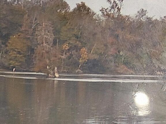 5th image of LOT 139 Amite River Rd