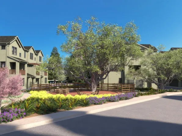 205 Pippen Court, Sebastopol, CA 95407
