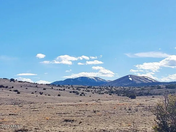 71 COUNTY ROAD N3448 Road #-, Concho, AZ 85924