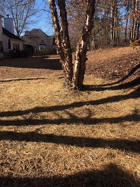 2nd image of 1300 Grace Hadaway Ln