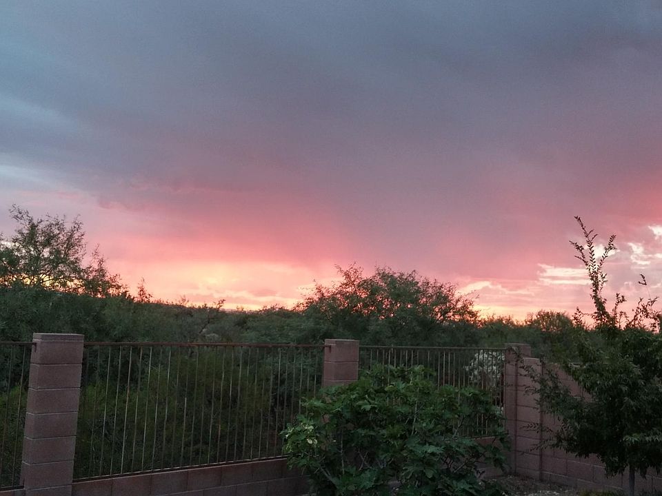 Backyard view