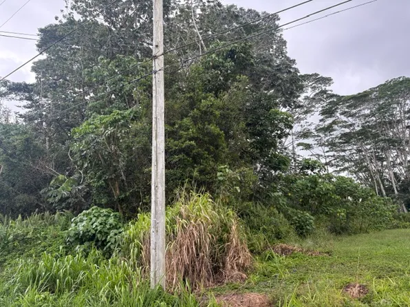 Iao St Lot 2, Pahoa, HI 96778