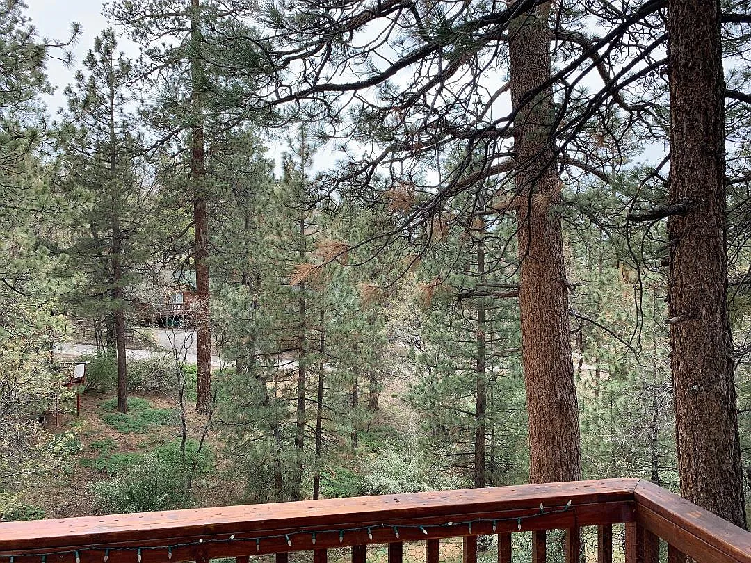 2 bed, 896 sqft, $1,650 — Photo 2