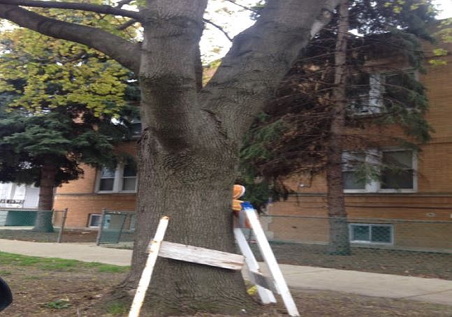 1st image of 3354 N Kildare Ave Unit G