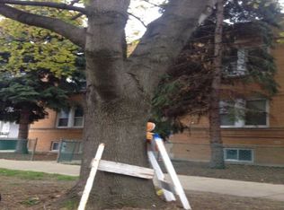 3354 N Kildare Ave UNIT G, Chicago, IL 60641