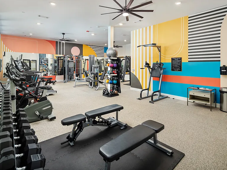 Fitness Center with Cardio Machines, Free Weights & Colorful Wall Art