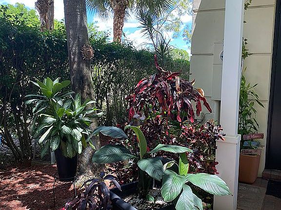 Lush Private walk way