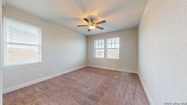 11907 Hollering Pass — Photo 36