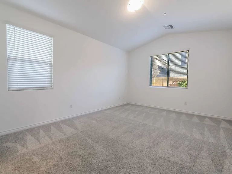 906 Sycamore Falls St — Photo 21