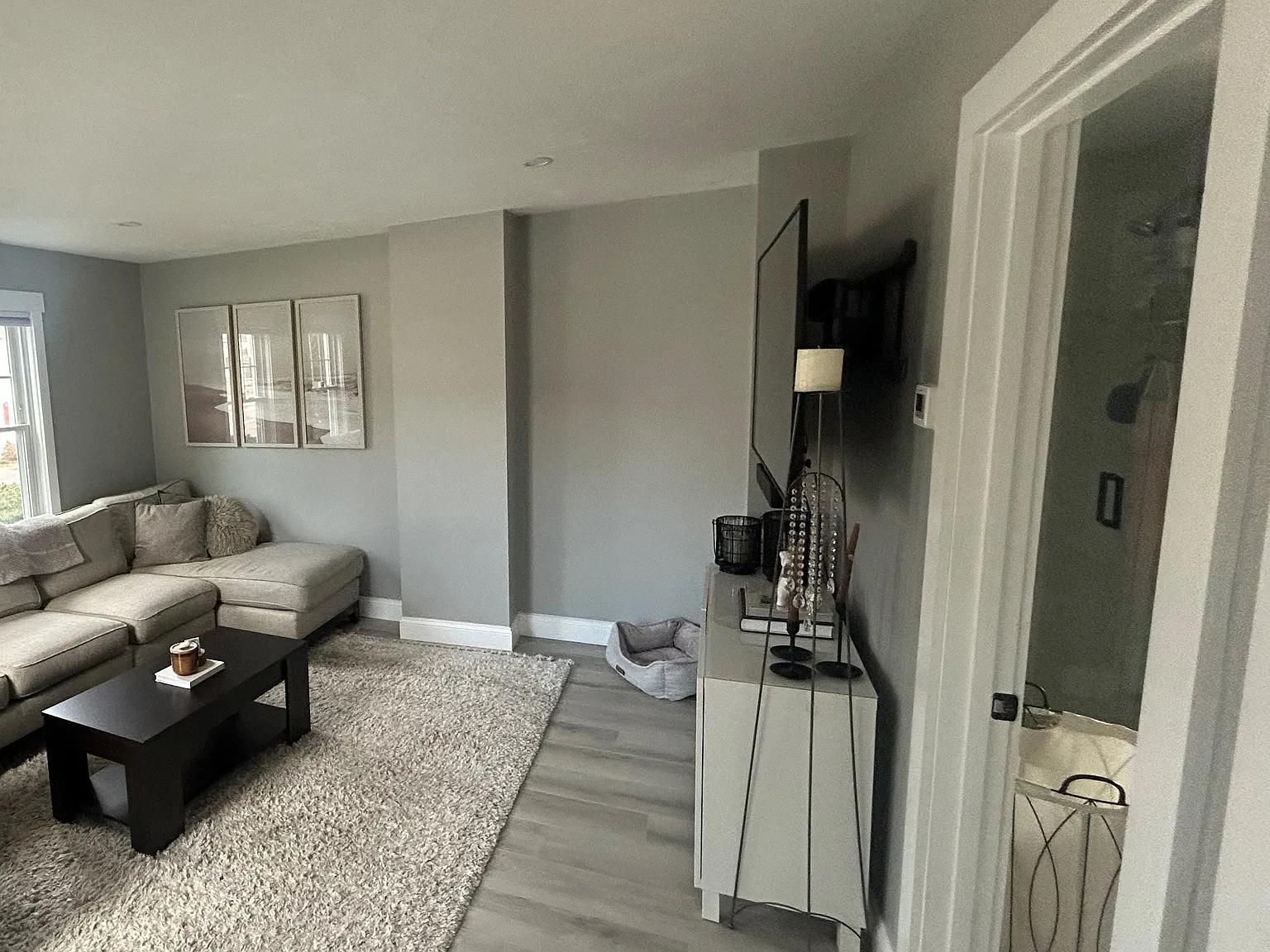 2 bed, 960 sqft, $3,000 — Photo 3