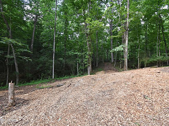 4th image of 0 Early Rd Lot 2