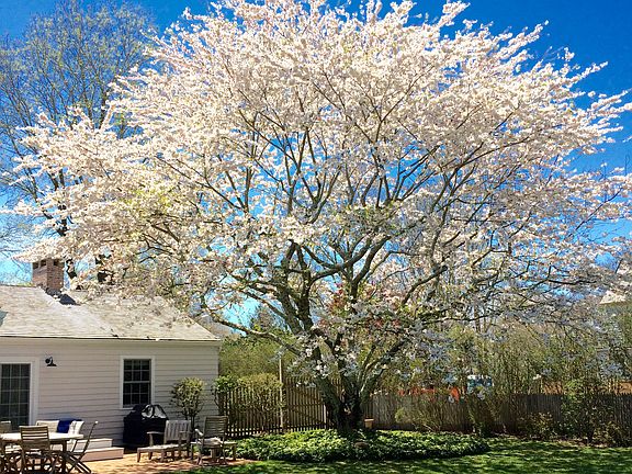 Beautiful Landscaping