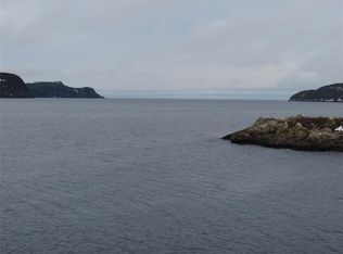 43 Cove Rd, Bryant'S Cove, NL A0A2M0
