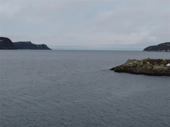 43 Cove Road, Colliers, NL A0A1Y0