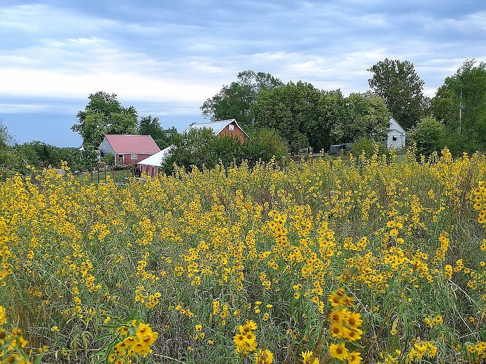 401 Kiowa Dr, Ozawkie, KS 66070 Zillow