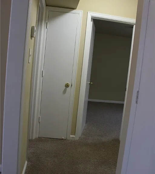 110 Dupuy Ave — Photo 10