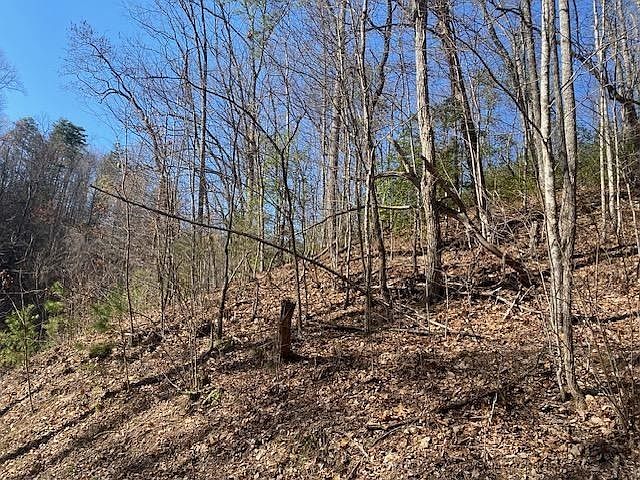 2nd image of 1765 Red Bud Rd Lot 1765R