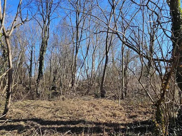1 / Acre Alabama Hwy #227, Geraldine, AL 35974