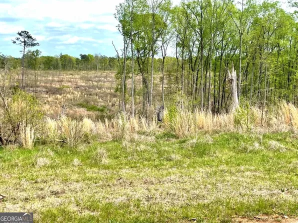 0 Fullerton Phillips Rd, Hillsboro, GA 31038