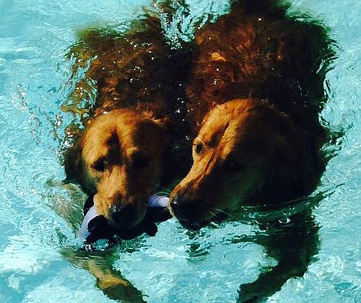 Beautiful enclosed pool