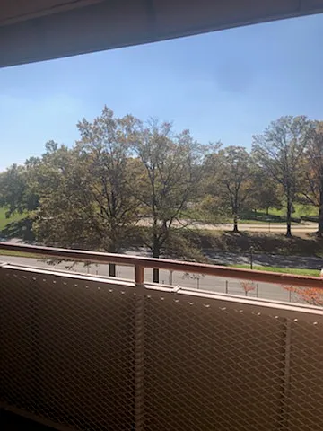 2 bed, 744 sqft, $3,000 — Photo 4