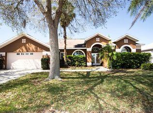1804 Vista River Dr, Valrico, FL 33596