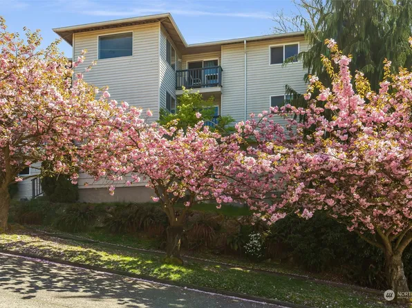 3917 SW Raymond #201, Seattle, WA 98136