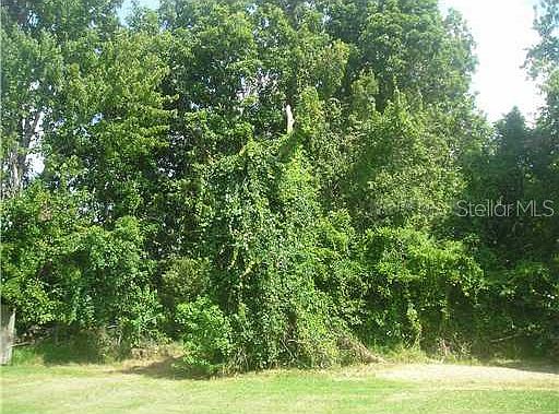 1st image of 1538 BUCK STREET LOT 53