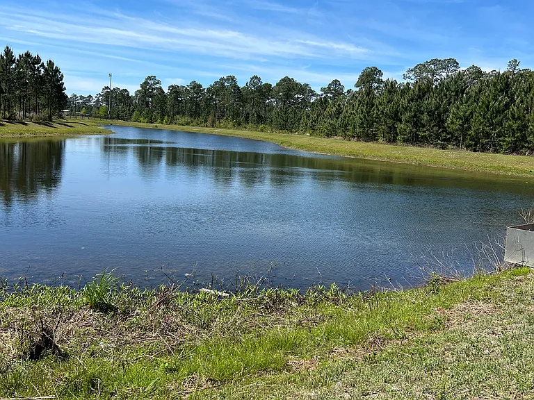 One of the 2 Ponds behind the forest at Manchester subdivision