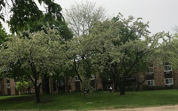 2nd image of 705 Heritage Dr APT 209