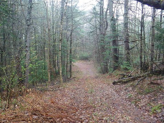 4th image of 001 Sand County Road #98