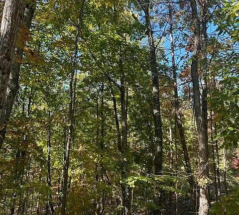 2nd image of Smoky Mountain View Dr