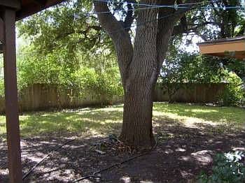 3rd image of 809 Orange Ave