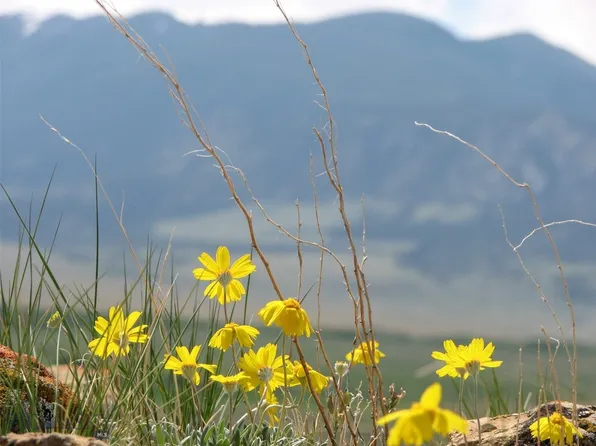 Nhn Rio Ln, Belfry, MT 59008