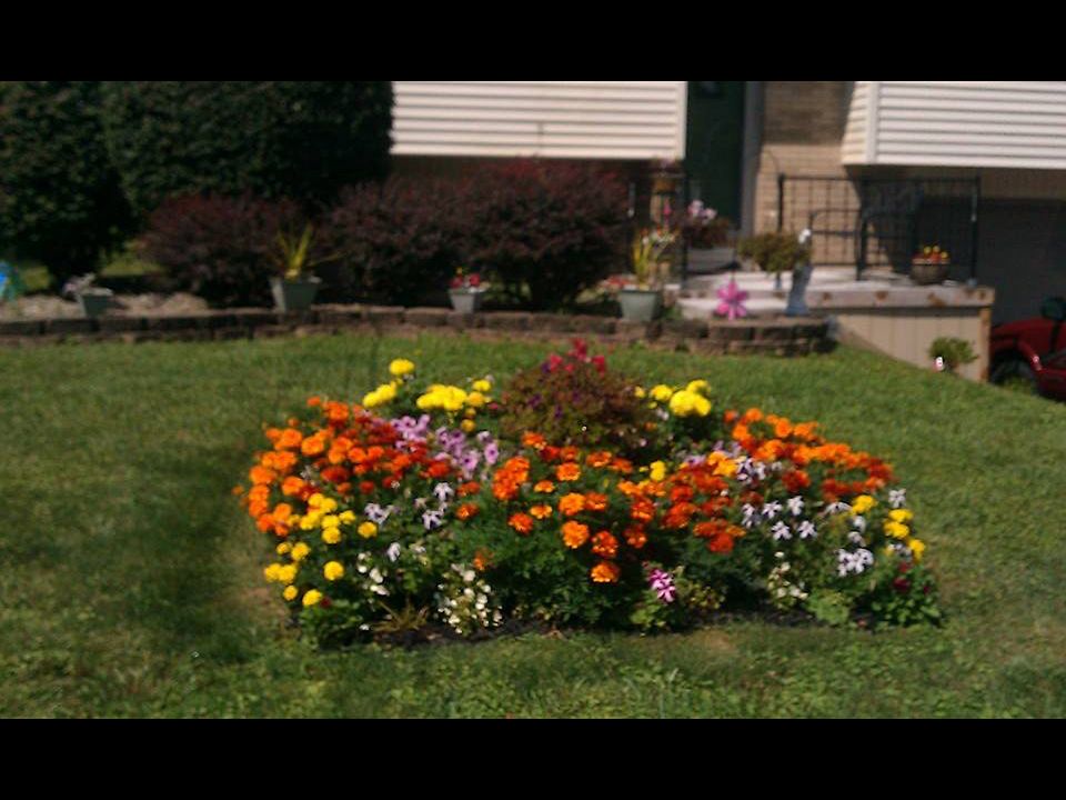 1st image of 1142 Leslie Ln