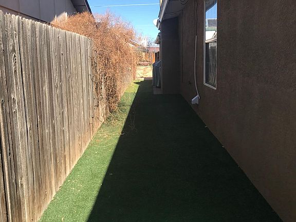 Dog run which extends the width of the house.