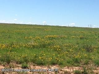 1st image of 12800 Wild Horse Trl