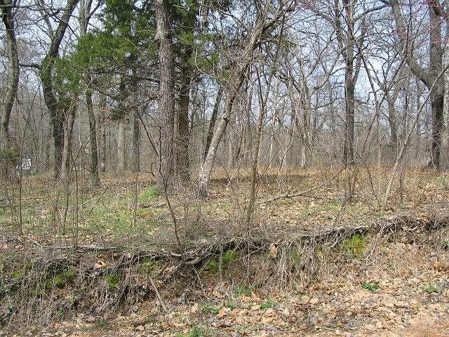 2nd image of Kansas Dr