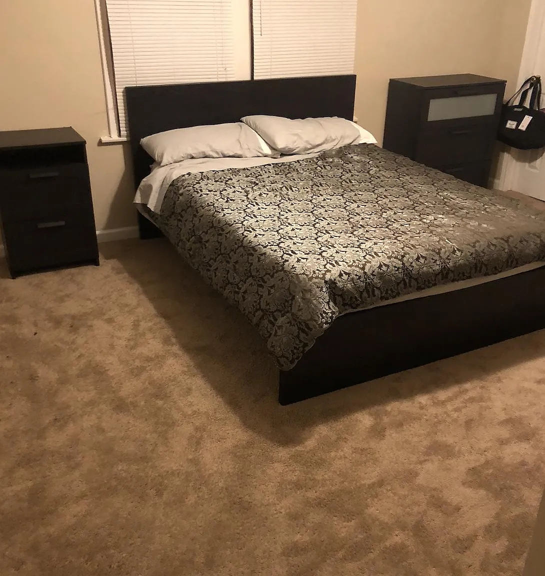 1 bed, 850 sqft, $800 — Photo 3