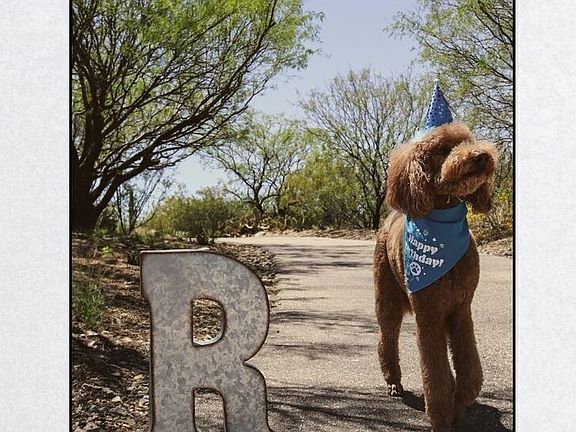 2nd image of 5335 Reeds Rd