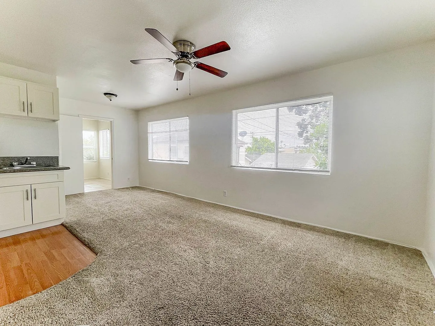Hyde Park Upper Unit 1+1 — Photo 3